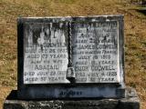 image of grave number 784135